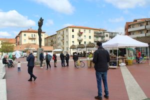 Piazza Zucchi mercato