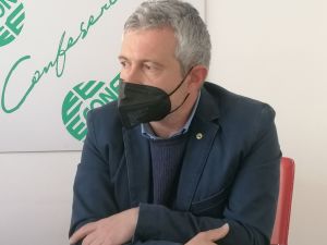 Lucio gori