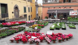 Fiera Fiore 3