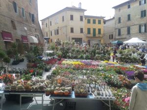 fiera del fiore 3