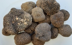 tartufi