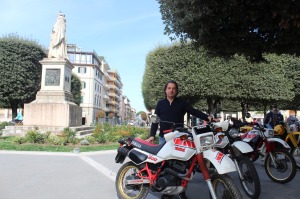 Cerini 3