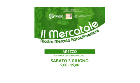 MERCATALE: SABATO 3 GIUGNO SOTTO I PORTICI DI VIA ROMA