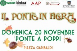 IN CASENTINO: IL PONTE IN FIERA