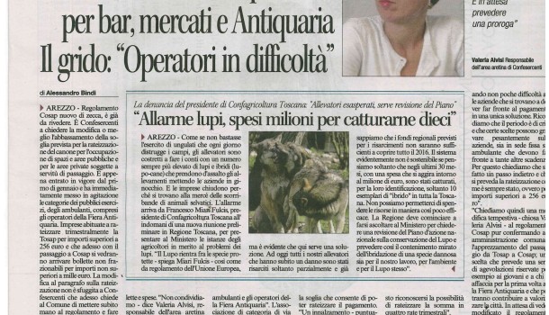 Corriere di Arezzo 13 gennaio 2017