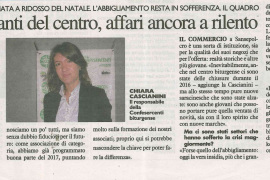 La Nazione di Arezzo 28 dicembre 2016