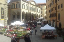 FIERA DEL RAME, FIORE E COCCIO