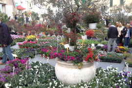 “FIORI E PIANTE” PROTAGONISTI A FOIANO