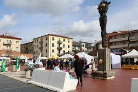IN PIAZZA  ZUCCHI DOMANI IL MERCATO
