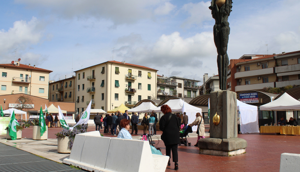 IN PIAZZA  ZUCCHI DOMANI IL MERCATO