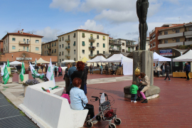 PIAZZA ZUCCHI: TORNA IL MERCATO