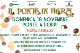 DOMENICA 18 NOVEMBRE: IL PONTE IN FIERA