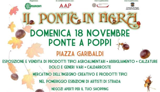 DOMENICA 18 NOVEMBRE: IL PONTE IN FIERA