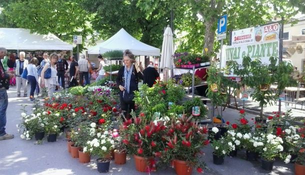 Camucia in fiera: domenica 19 maggio