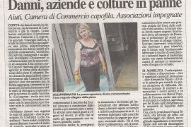 La Nazione di Arezzo 31 luglio 2019
