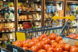 CARTA ALIMENTARE: ECCO COME POSSONO ADERIRE GLI ESERCIZI COMMERCIALI ENTRO IL 6 LUGLIO