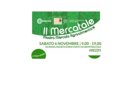 IL MERCATALE SOTTO I PORTICI DI VIA ROMA