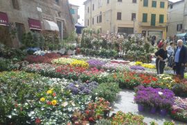 FIERA DEL FIORE A FOIANO DELLA CHIANA, DOMENICA 10 APRILE