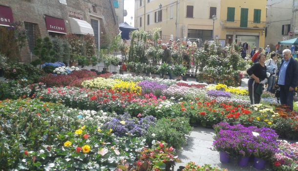 FIERA DEL FIORE A FOIANO DELLA CHIANA, DOMENICA 10 APRILE
