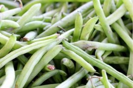 IN VIGORE DAL 15 GIUGNO IL DECRETO LEGISLATIVO N°198/2021 “NUOVE REGOLE PER LA CESSIONE DI PRODOTTI AGRICOLI E AGROALIMENTARI- PRATICHE COMMERCIALI SLEALI, VERSAMENTO DEI CORRISPETTIVI PATTUITI”.