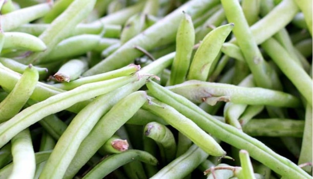 IN VIGORE DAL 15 GIUGNO IL DECRETO LEGISLATIVO N°198/2021 “NUOVE REGOLE PER LA CESSIONE DI PRODOTTI AGRICOLI E AGROALIMENTARI- PRATICHE COMMERCIALI SLEALI, VERSAMENTO DEI CORRISPETTIVI PATTUITI”.