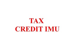 TAX CREDIT IMU IMMOBILI TURISTICI