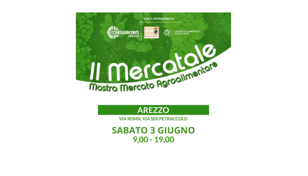 MERCATALE: SABATO 3 GIUGNO SOTTO I PORTICI DI VIA ROMA