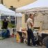 TORNA A SAN GIOVANNI VALDARNO IL PERDONO DEI SAPORI E DEI SAPERI