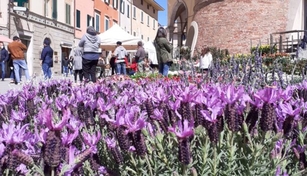 FOIANO IN FIORE: AL VIA LA 40ª EDIZIONE DELLA STORICA FIERA DEL FIORE