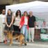 I CONTI IN PIAZZA: “SONO SPARITI 607 NEGOZI” IN PROVINCIA DI AREZZO